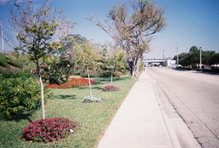slides\street5.jpg